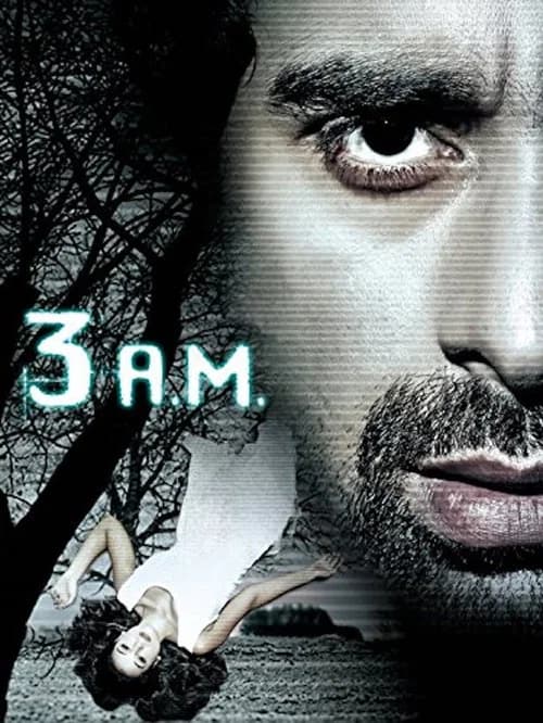 3 AM: A Paranormal Experience poster
