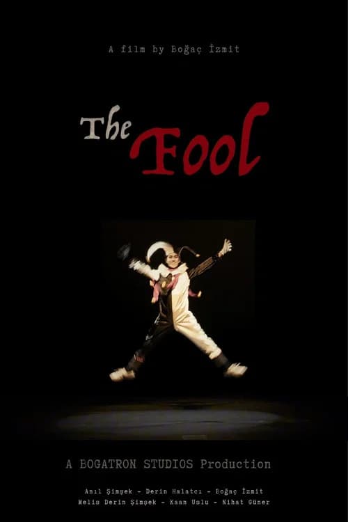 The Fool poster