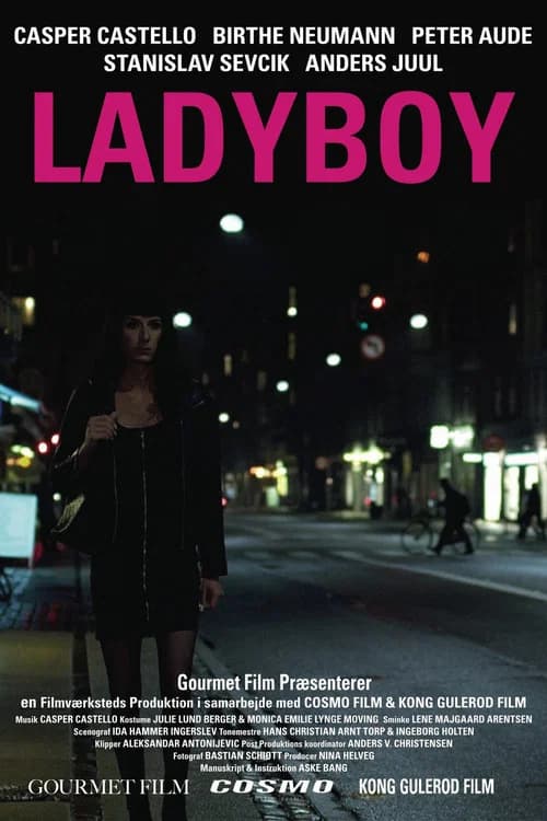 Ladyboy poster