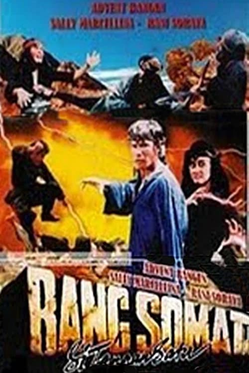 One-Armed Silat Boxer poster