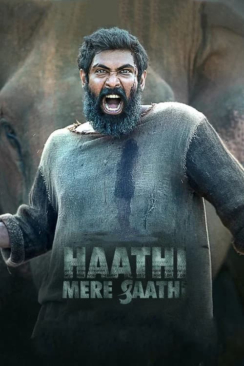 Kaadan poster