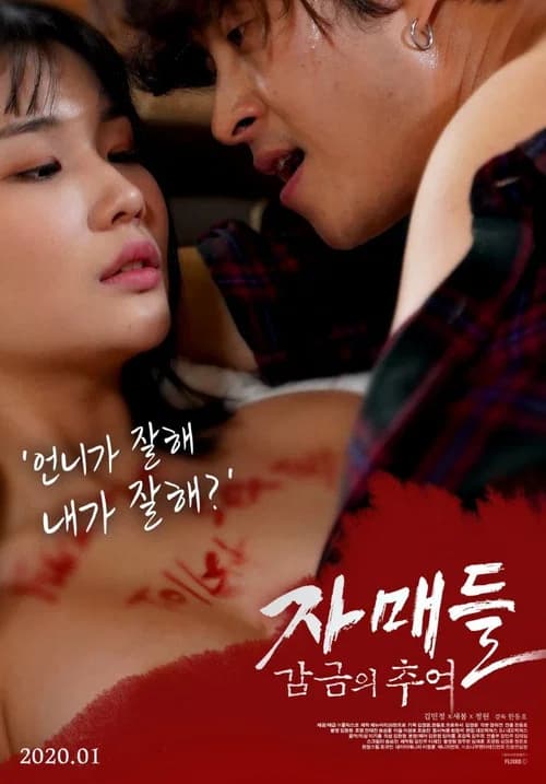 Sisters: Memories of Confinement poster