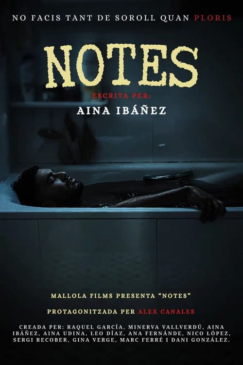 Notes poster