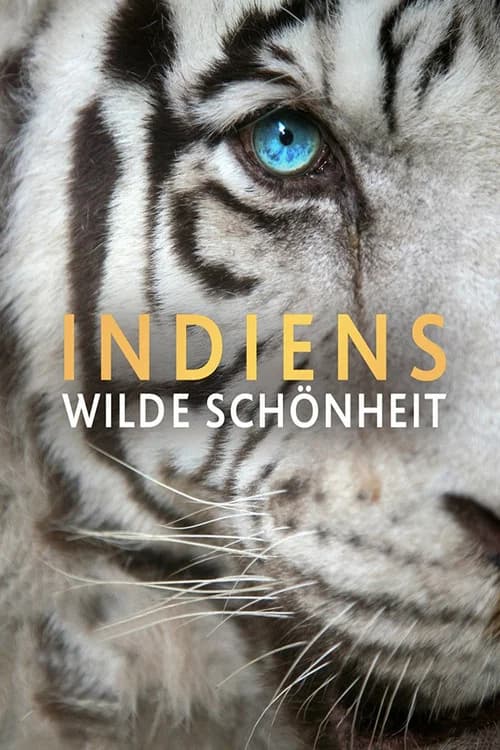 India's Wild Beauty poster