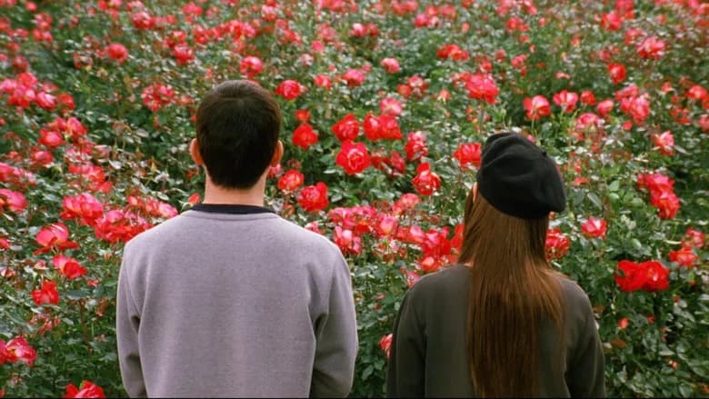 Dolls still 7