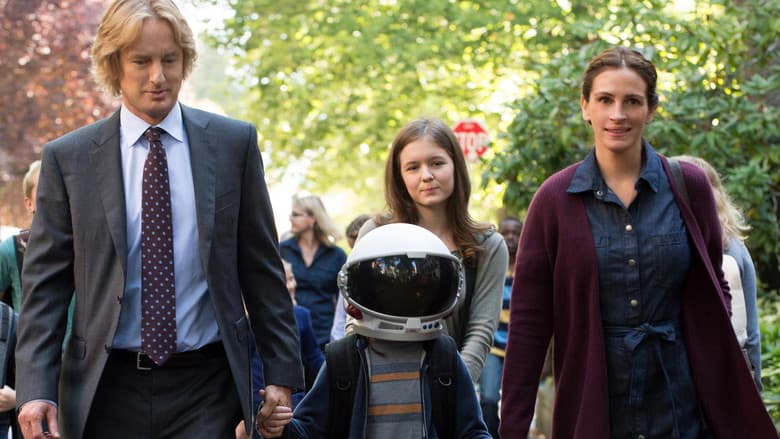 Wonder still 3