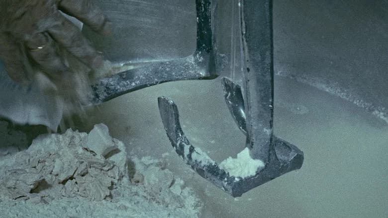 The Mechanics of Film still 7