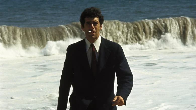 The Long Goodbye still 4