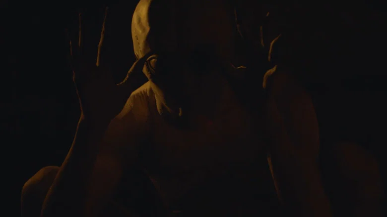 The Guardian still 2