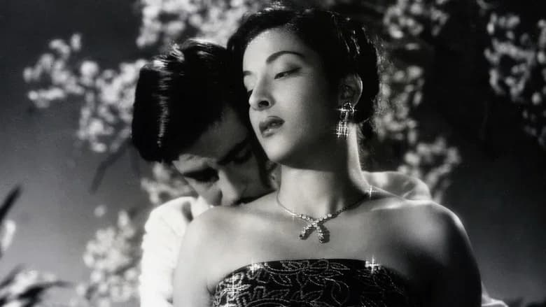 Awaara still 2