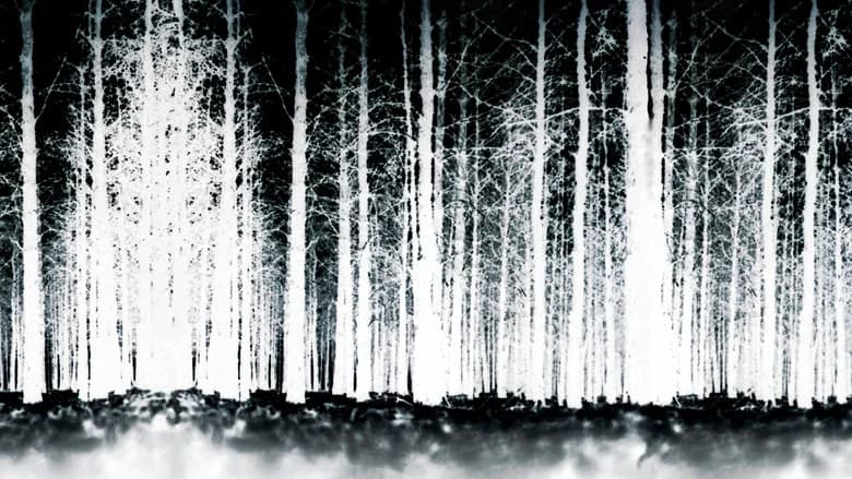 The Blair Witch Project still 5