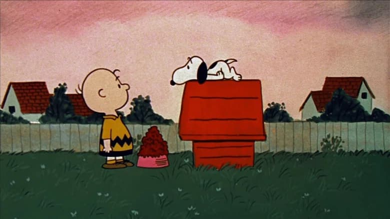A Boy Named Charlie Brown still 3
