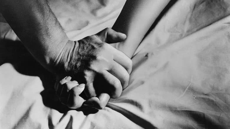 The Lovers still 3