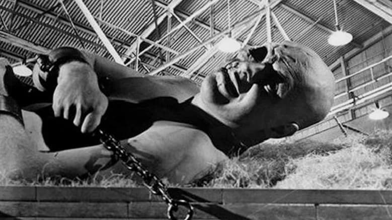 War of the Colossal Beast still 6