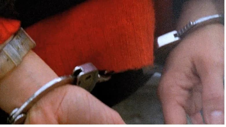 The Pleasure of Being Robbed still 7