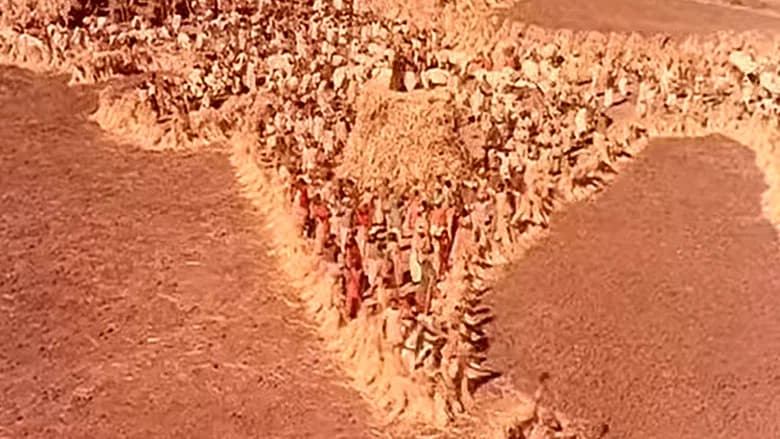 Mother India still 8