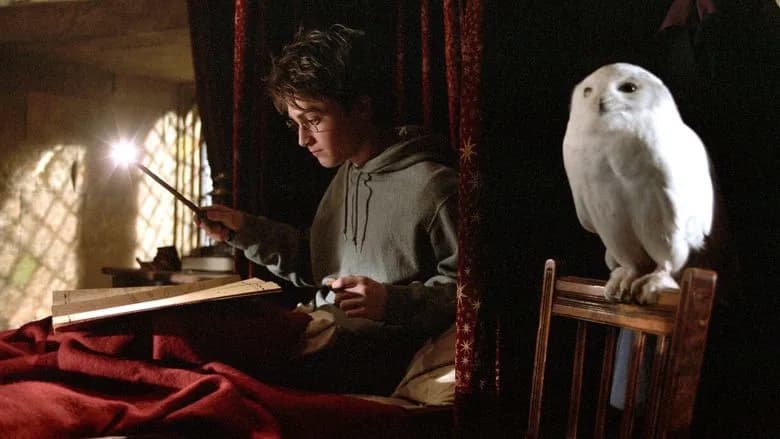 Harry Potter and the Prisoner of Azkaban still 3