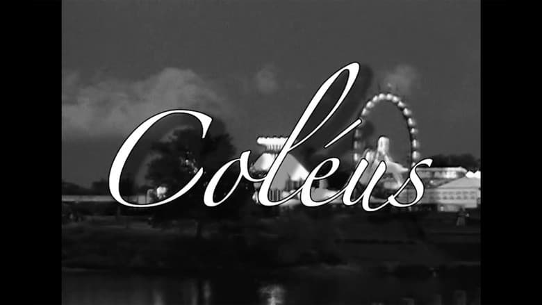Coléus still 1