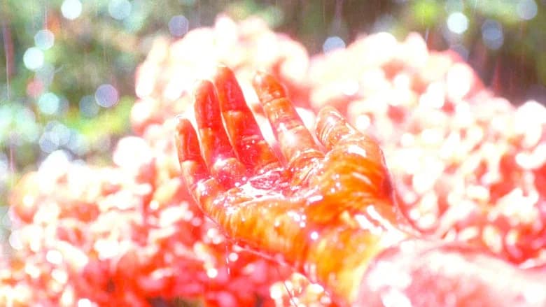 Hanging Garden still 8