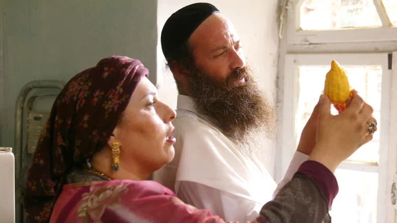 האושפיזין still 3