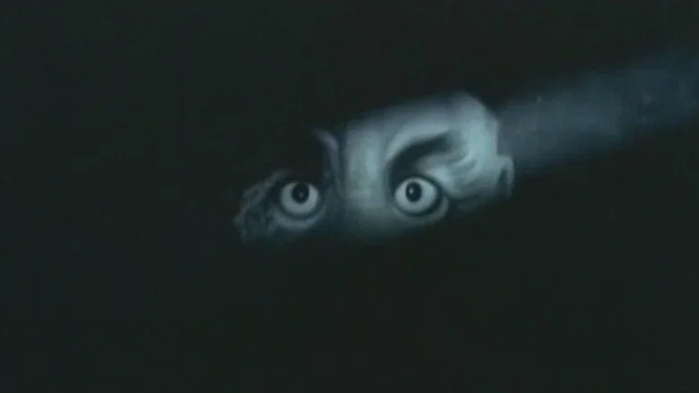 Fearful Interlude still 4