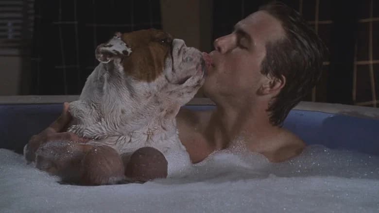 National Lampoon's Van Wilder still 4