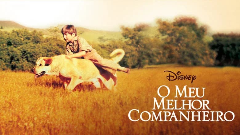 Old Yeller still 4