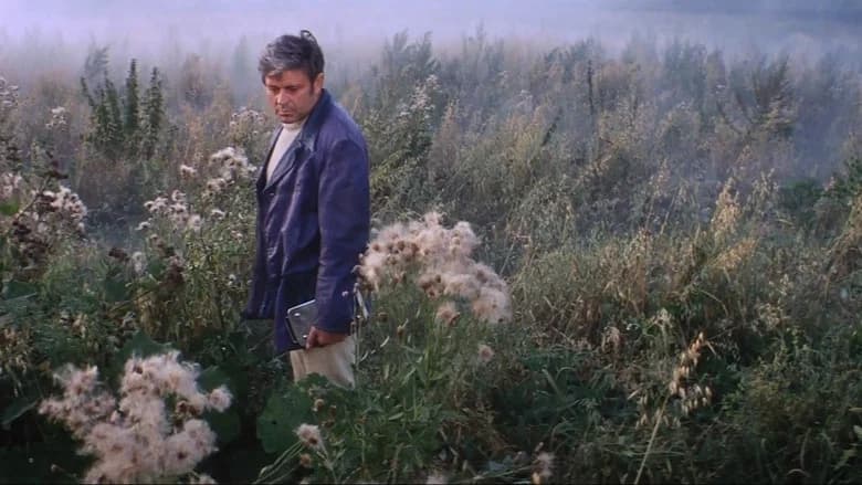Solaris still 7
