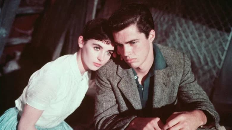 The Diary of Anne Frank still 1