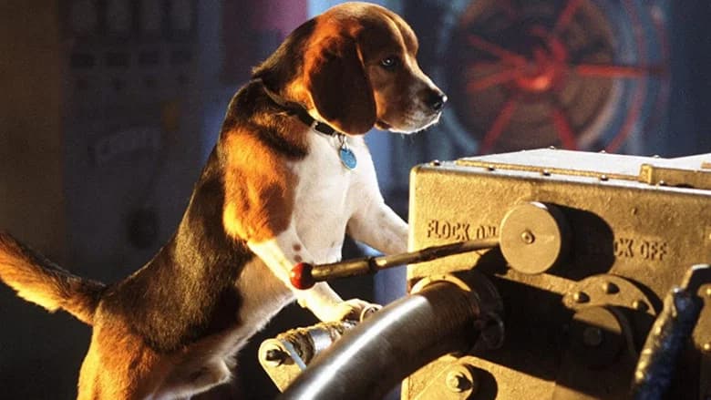 Cats & Dogs still 5