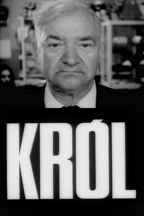The King poster