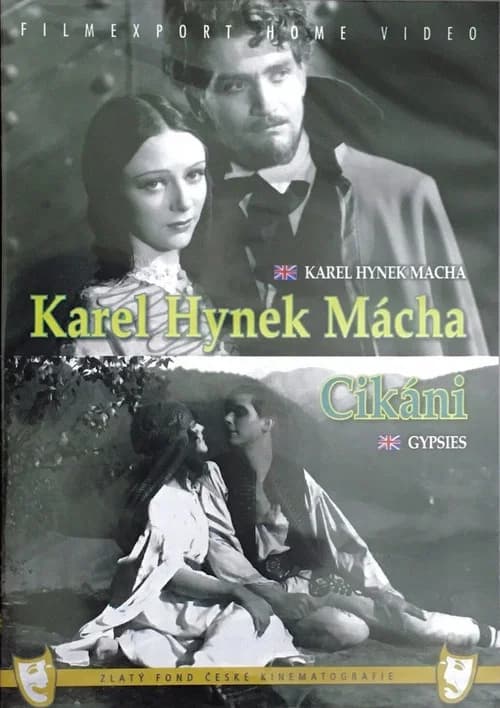 Gypsies poster