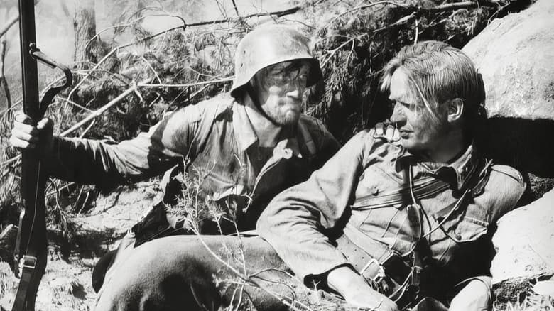 The Unknown Soldier still 1