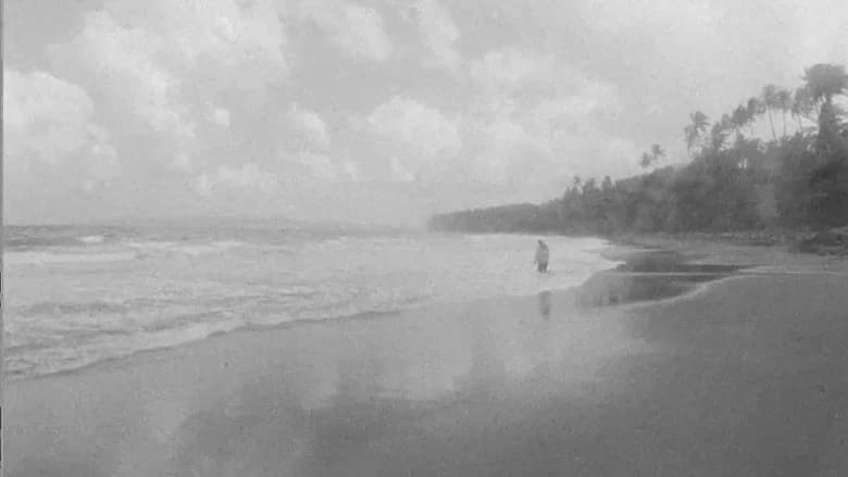 When the Waves Are Gone still 8