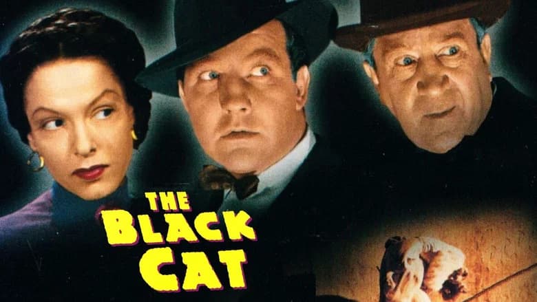 The Black Cat still 5