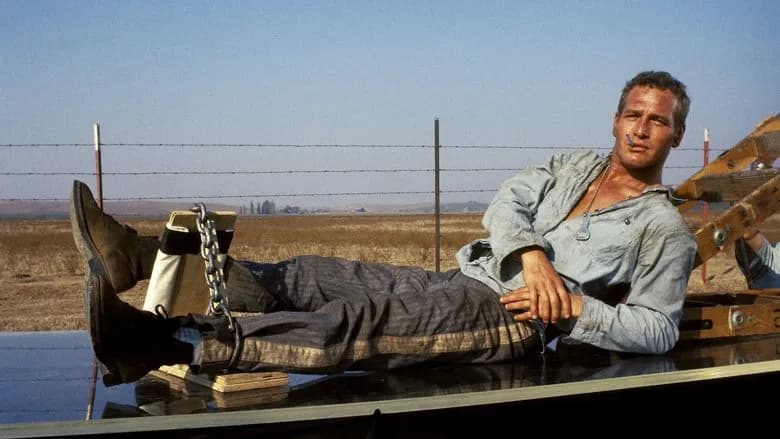 Cool Hand Luke still 2