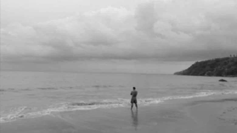When the Waves Are Gone still 7
