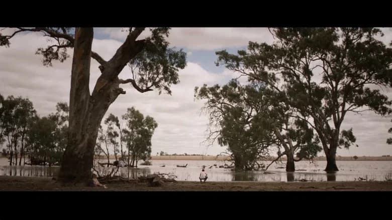 Dry Creek still 1