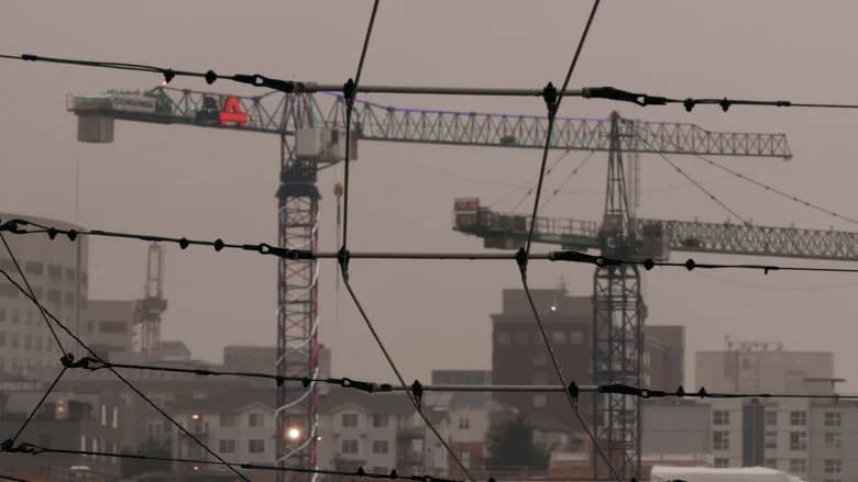 Sea of Cranes still 1