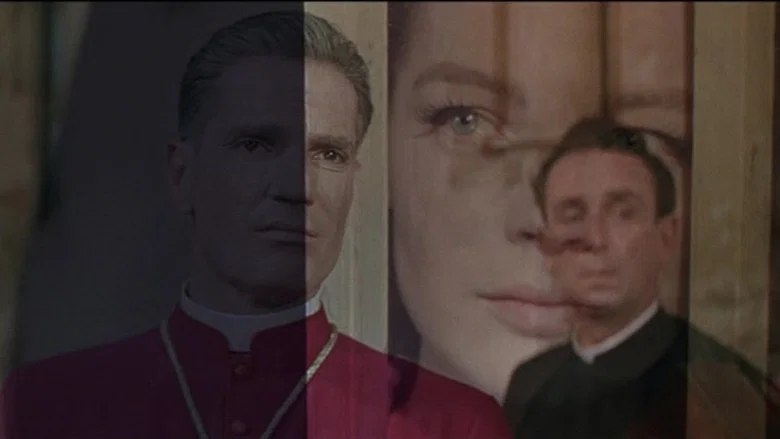 The Cardinal still 5