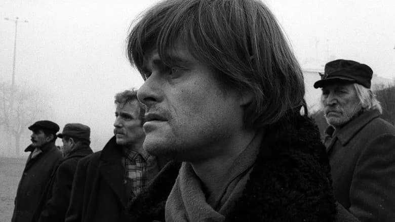 Werckmeister Harmonies still 4