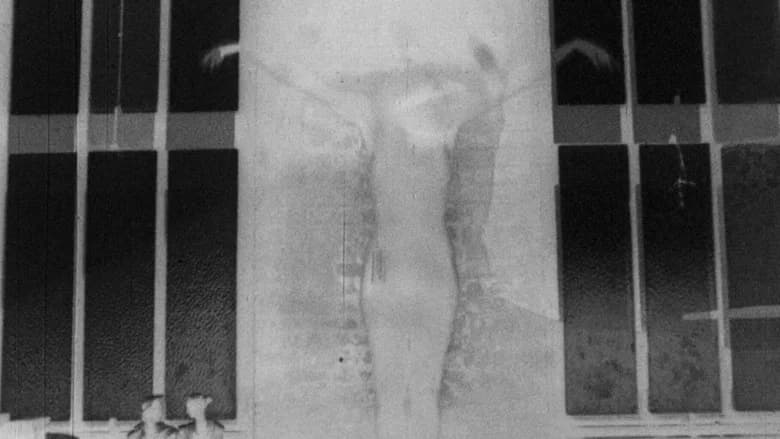 Safer Sexual Techniques in the Age of Mechanical Reproduction still 1