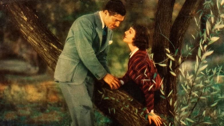It Happened One Night still 8
