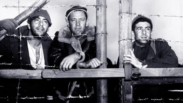 Stalag 17 still 7