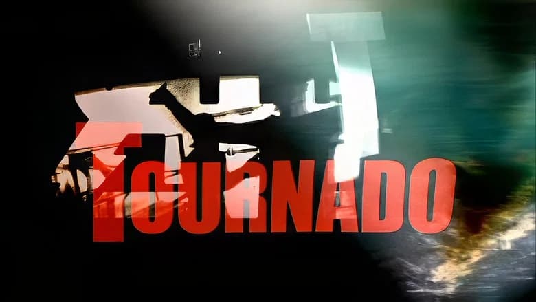 The All-American Rejects: Tournado still 3