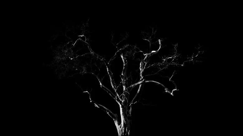 Dreams, Confessions and The End Of The World still 2