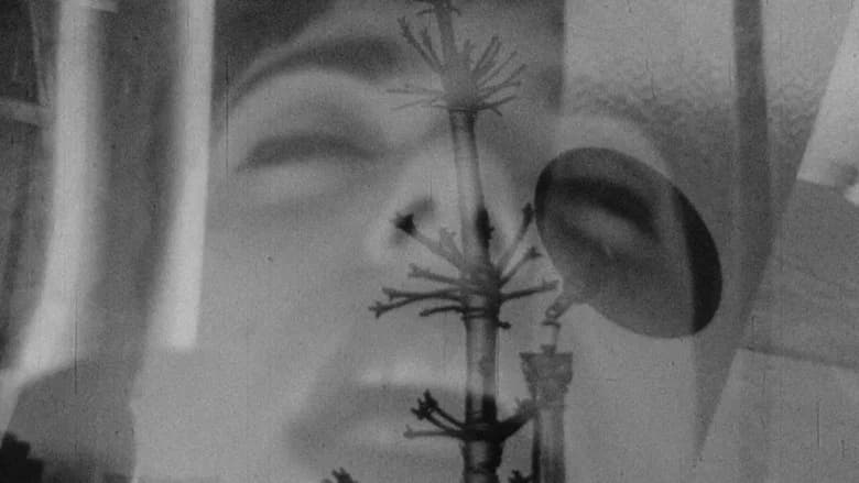 Safer Sexual Techniques in the Age of Mechanical Reproduction still 3