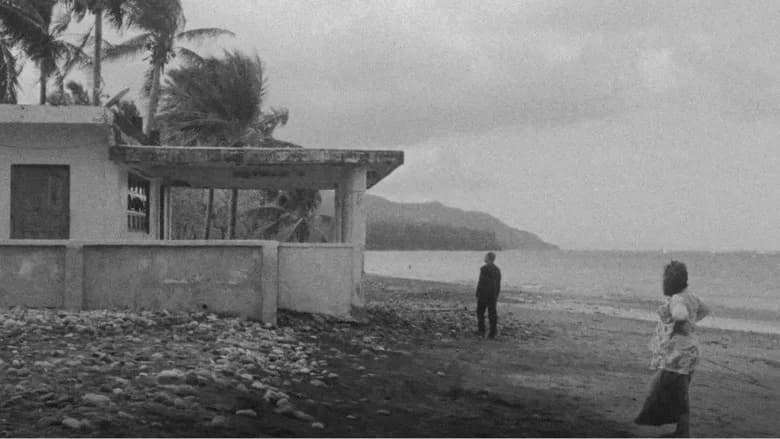 When the Waves Are Gone still 5