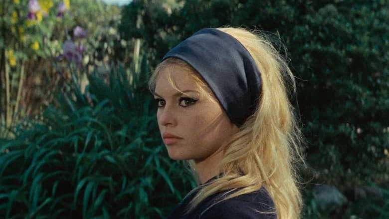 Contempt still 5
