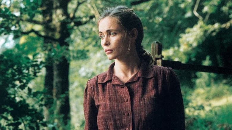 Strayed still 4